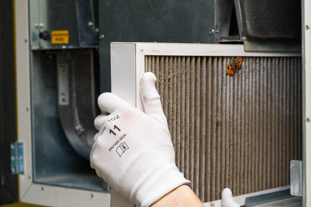 Best Affordable Air Duct Cleaning  in Brackettville, TX